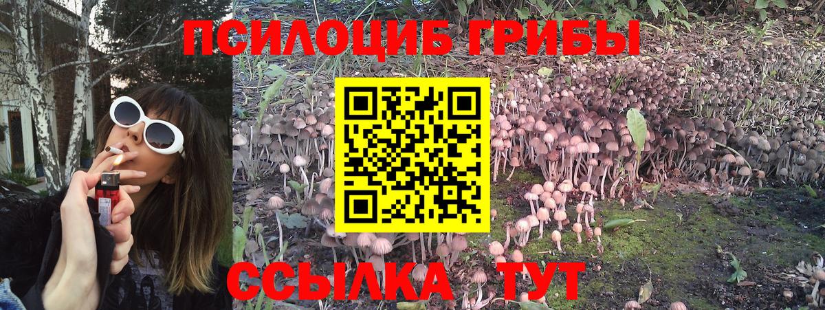 Галлюциногенные грибы ЛСД Тихорецк