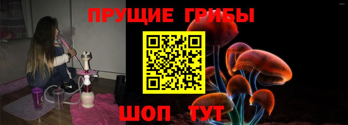 Тихорецк  Псилоцибиновые грибы Psilocybe  Вход с VPN 